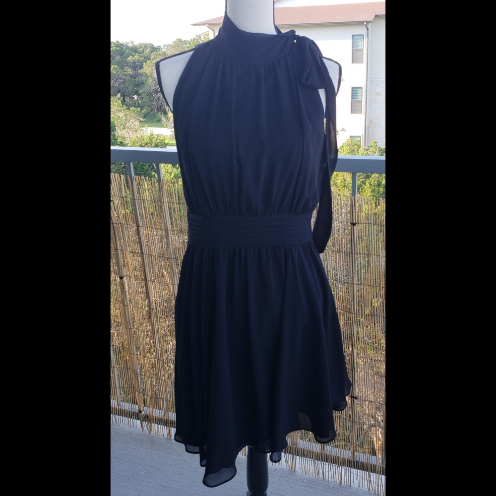 Banana Republic Black Shiffon Dress Size 8 Petite